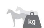 Paard Gewicht
